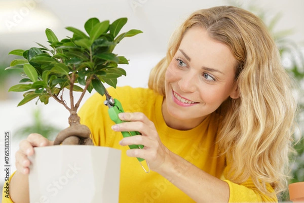 Fototapeta young enthusiastic female gardener taking care of bonsai plants