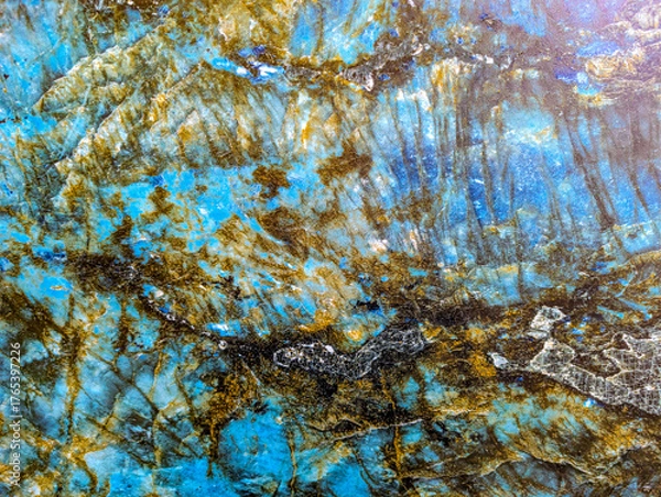 Obraz Autumn maple against the blue sky