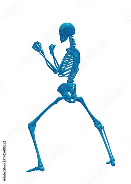 Fototapeta 3d rendered illustration of a skeleton