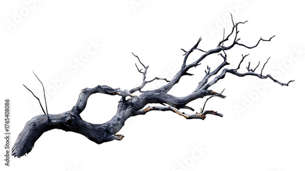 Fototapeta A grayscale image of a gnarled, dead tree branch, isolated against a transparent background background removed