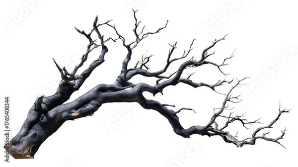Fototapeta A grayscale image of a gnarled, dead tree branch, isolated against a transparent background background removed
