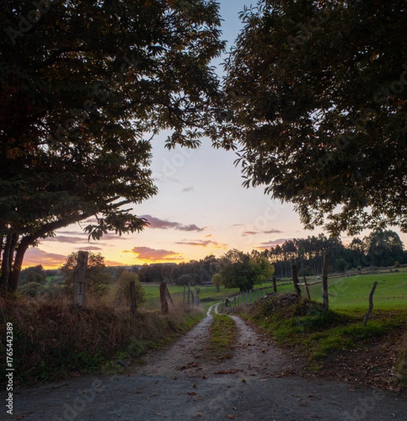 Fototapeta Path in the Lugo Mountains, Galicia, Spain. This region in northwestern Spain is teeming with stunning and uncrowded hiking trails
