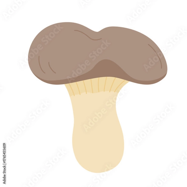 Obraz ひらたけの主線無しイラスト