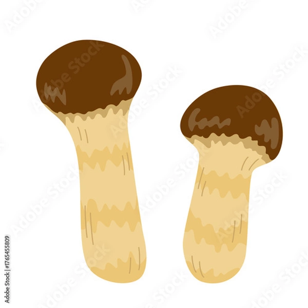 Obraz 松茸の主線無しイラスト