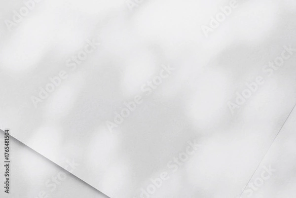 Fototapeta 木漏れ日と紙