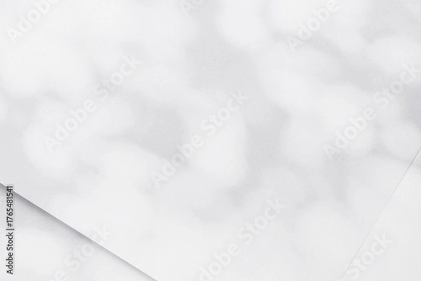 Fototapeta 木漏れ日と紙