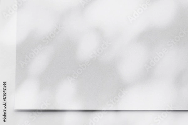 Fototapeta 木漏れ日と紙