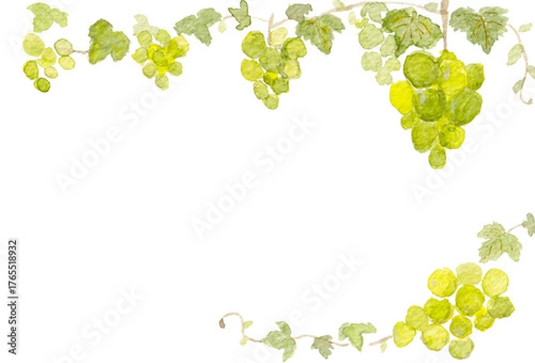 Obraz 水彩シャインマスカットのフレーム