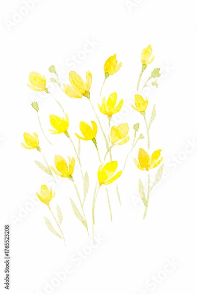 Obraz 水彩黄色の花イラスト