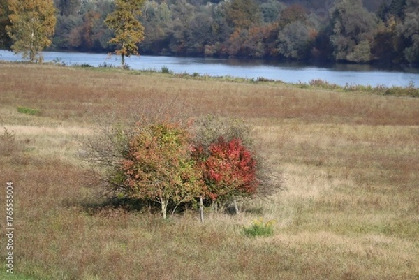Fototapeta Floodplain