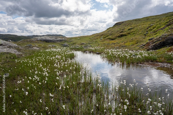 Obraz View of lakes and mountains in Gamleveien Haukeli. Norwegian mountain landscape near Roldal, Telemark.	
