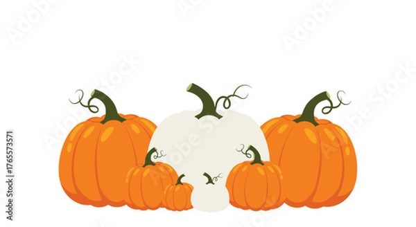 Fototapeta Assortment of Pumpkins for Autumn and Halloween Decorations.