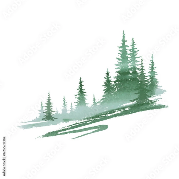 Obraz forest, coniferous trees, fog