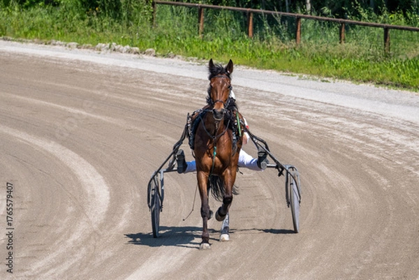 Obraz Modena, Italy – 05 18 2025: Racing horses trots and rider on a track of stadium. Competitions for trotting horse racing. Horses compete in harness racing. Horse runing at the track with rider.

