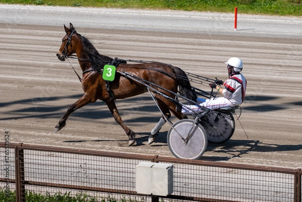 Obraz Modena, Italy – 05 18 2025: Racing horses trots and rider on a track of stadium. Competitions for trotting horse racing. Horses compete in harness racing. Horse runing at the track with rider.
