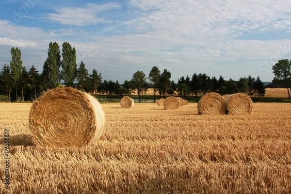 Fototapeta roundballer