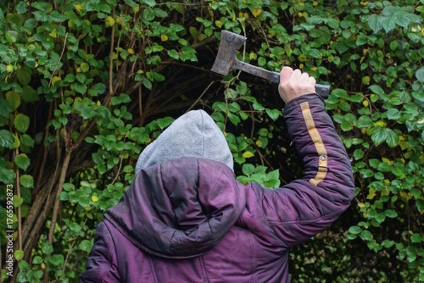 Obraz An aggressive man in a purple jacket and a gray hoodie swings an axe in his hand over his head against the backdrop of green vegetation on a spring street