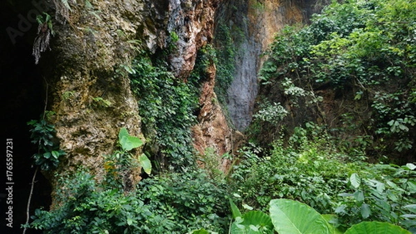 Fototapeta Coral Stone Texture Background