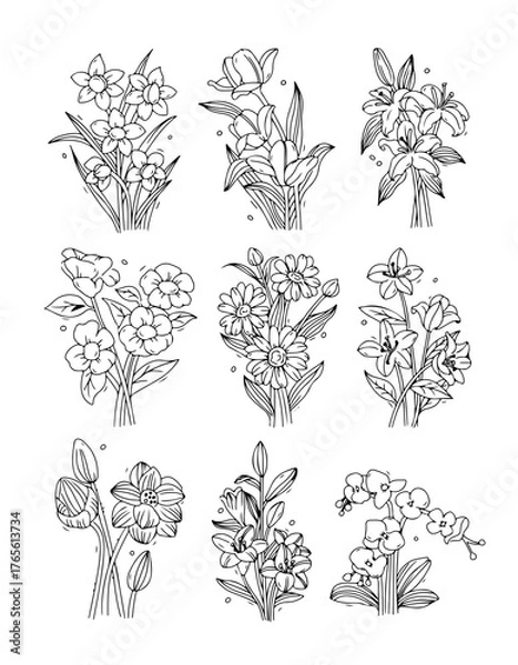 Fototapeta Set of hand-drawn flower bouquets. Line art botanical illustrations collection. Vector outline drawings.
