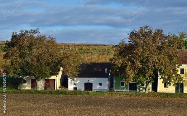 Obraz Kellergasse im Fels am Wagram, Weinviertel, Österreich
