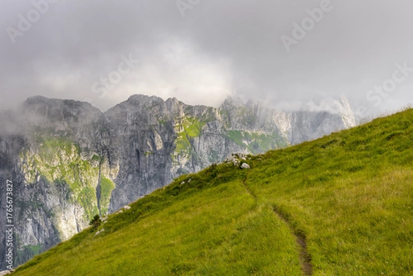 Fototapeta footpath through the lush green grass valley leading to the green hill cliff with mountain peak view. atmospheric foggy mountain