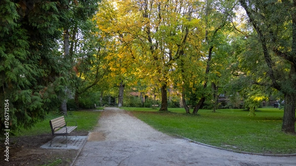 Obraz path in autumn park