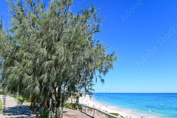 Fototapeta オーストラリア西海岸のパースにあるビーチのとても美しい風景