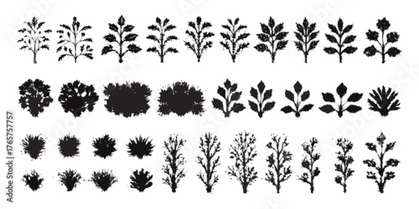 Fototapeta Collection of black silhouette botanical elements and plant sprigs with textured brush strokes