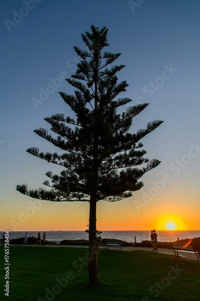 Fototapeta オーストラリア西海岸で眺めるインド洋の超絶景な夕暮れ