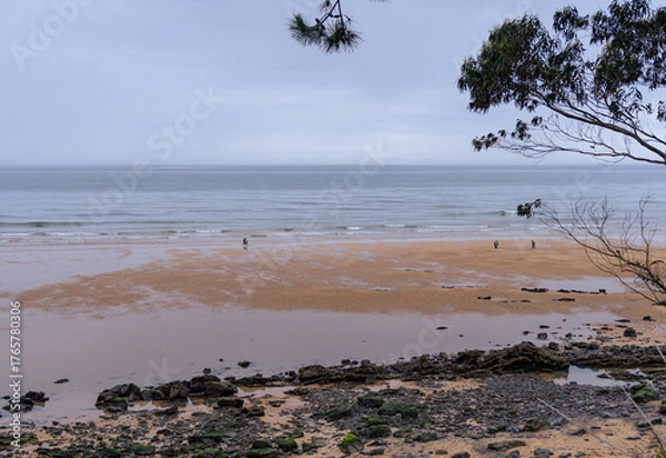 Obraz beach in the morning