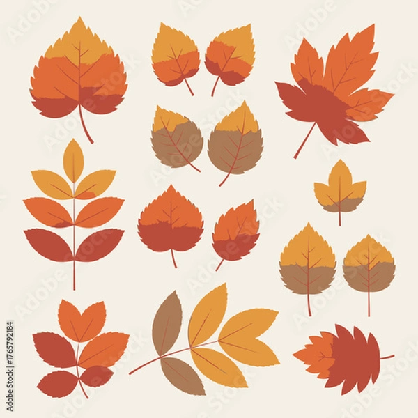 Obraz A collection of various stylized autumn leaves in warm shades of orange, red, and brown on a light background.