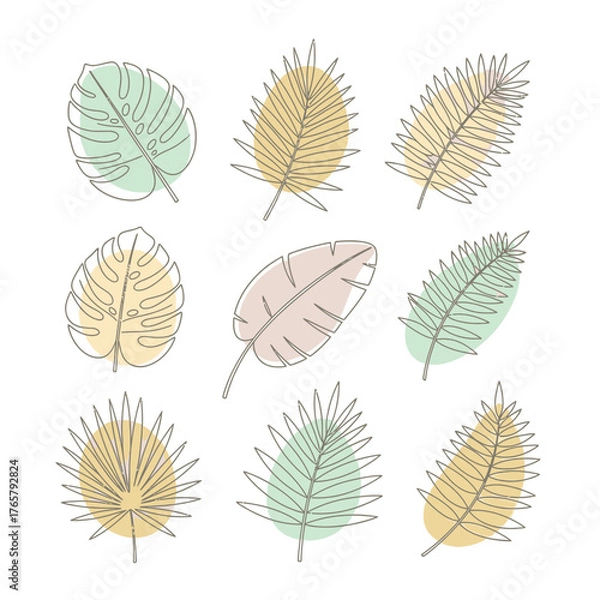 Obraz Collection of line art tropical leaves with pastel color accents.