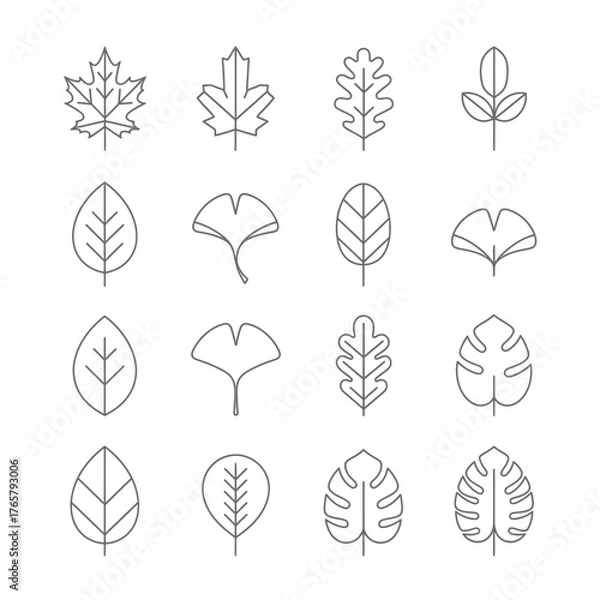 Obraz Collection of various line art leaf illustrations, showcasing diverse shapes and botanical details.