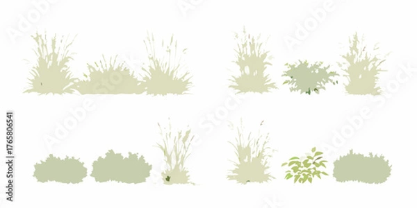 Fototapeta Collection of stylized decorative grasses and leafy bushes in muted green and beige tones on a white background