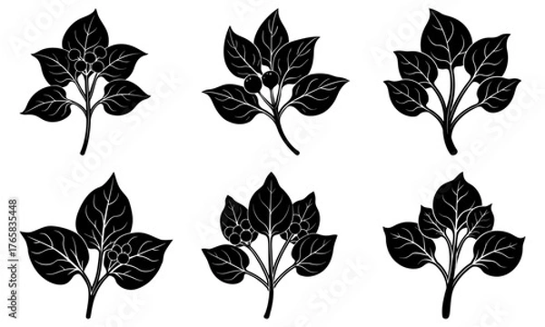 Fototapeta Elegant botanical plant set, perfect for design, weddings, or print projects. Add nature's touch with this classic collection of floral elements