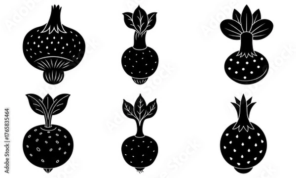 Fototapeta Unique organic beets artfully arranged for modern design projects, offering a fresh, natural, and healthy food concept with elegant culinary appeal