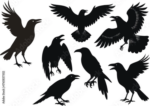 Obraz Group of Black Silhouettes of Crows in Different Actions
