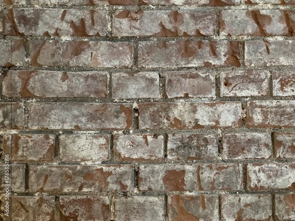 Fototapeta 古いレンガの壁