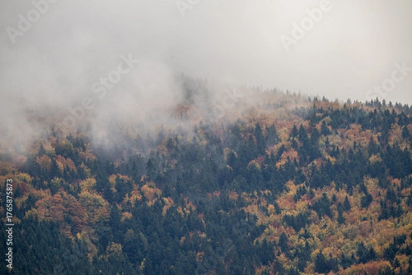 Obraz Złota jesień w górach – malowniczy krajobraz pełen kolorowych drzew, mgieł unoszących się nad doliną i ciepłego światła zachodzącego słońca. Fotograf uchwycił spokojną, naturalną scenerię górskiego pe