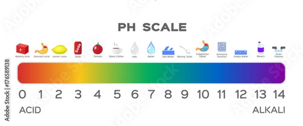 Obraz ph scale vector graphic . acid to base