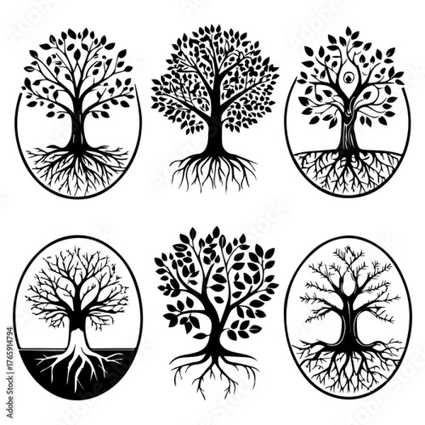 Fototapeta Diverse collection of royalty-free images and videos for creative projects available on stock photo websites