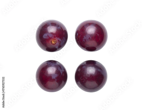 Obraz Four ripe dark red grapes isolated on transparent background