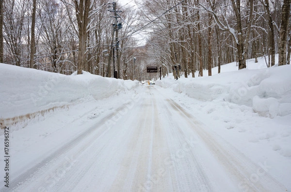 Obraz 秋田の雪道