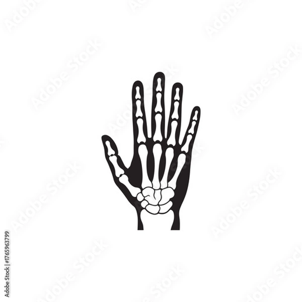 Fototapeta Hand Bone Structure