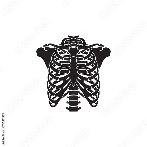 Obraz Ribcage Anatomy Icon
