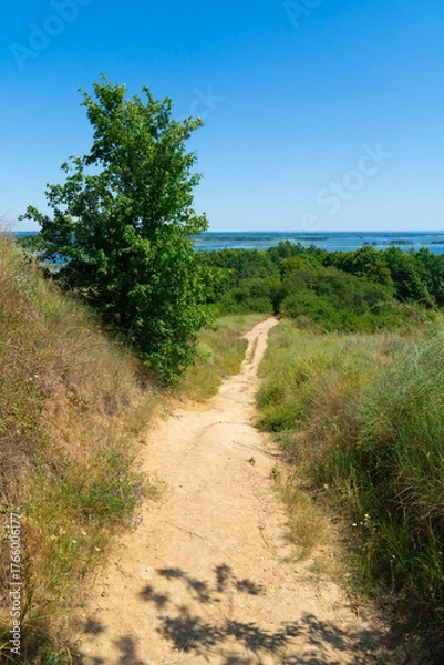 Fototapeta A narrow winding dirt path descends through green and dry grass and trees, leading the eye towards a panoramic view of a wide river and clear blue sky