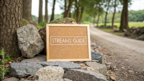 Fototapeta Rustic Signage for Stream Guide in Natural Outdoor Setting