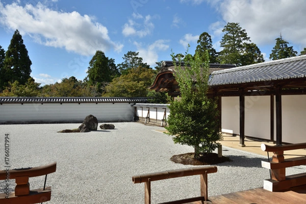 Obraz 曼殊院　宸殿前庭　盲亀浮木の庭(京都市左京区)