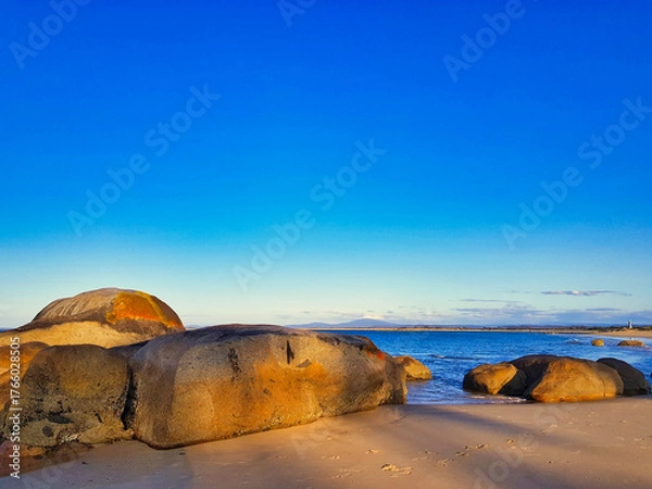 Obraz Giant granite boulders light up in the evening sun at the deserted beach of Waterhouse Conservation Area, Bridport, Northeast Tasmania, Australia. 
