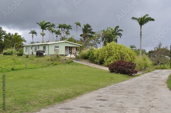Obraz House in Barbados